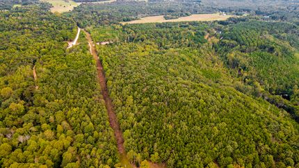 Timberland Property for sale in DeKalb County, Alabama