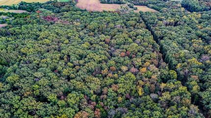 Timberland Property for sale in Lincoln County, Missouri
