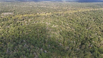 Land for sale in Ouachita Parish, Louisiana