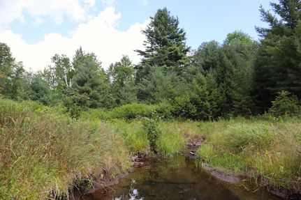 Undeveloped Land for sale in Warren County, New York
