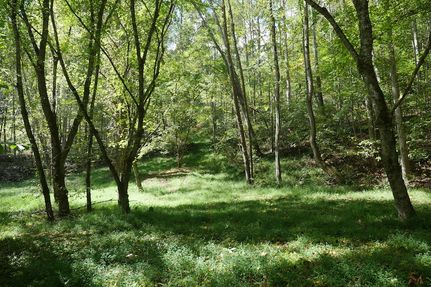 Farm and Ranch for sale in Scott County, Virginia