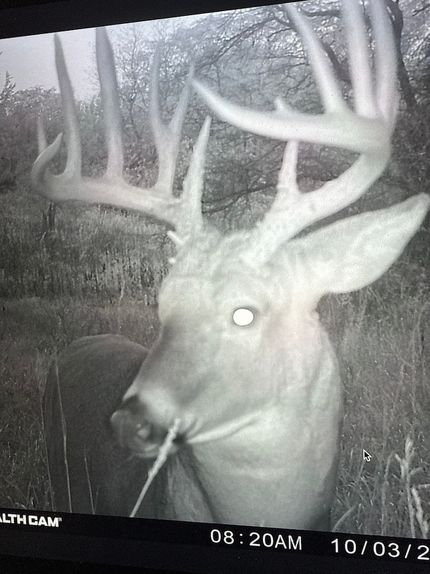 Recreational Property in Ringgold County, Iowa