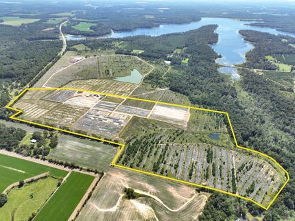 Timberland Property for sale in Grady County, Georgia