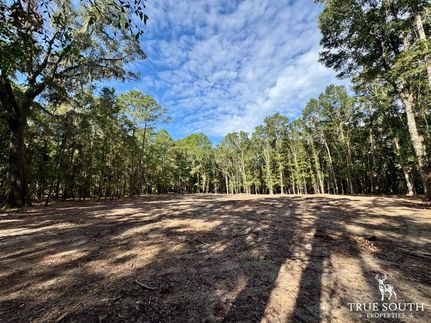 Farm and Ranch for sale in Jasper County, South Carolina