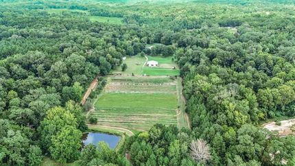 Timberland Property in Wilkinson County, Mississippi