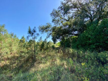 Recreational Property for sale in Decatur County, Georgia