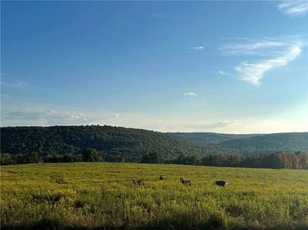 Farm and Ranch for sale in Chemung County, New York