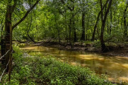 Land for sale in Lee County, Texas