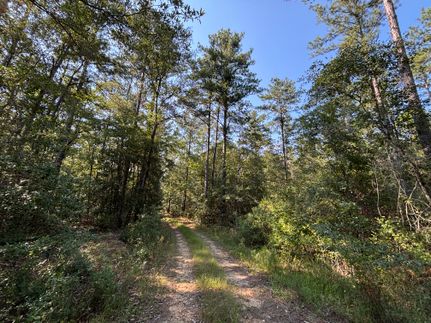 Timberland Property for sale in Washington County, Alabama