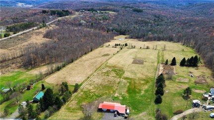 Farm and Ranch for sale in Chemung County, New York