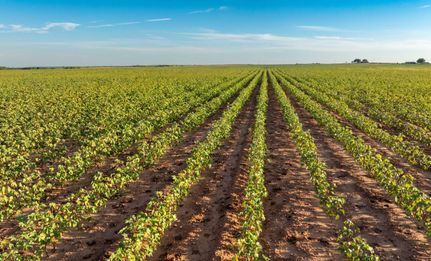 Farm and Ranch for sale in Childress County, Texas