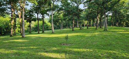 Undeveloped Land in Lincoln County, Missouri