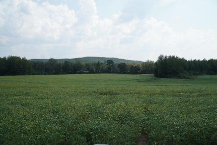 Timberland Property for sale in Marion County, Alabama