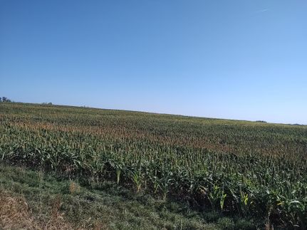 Undeveloped Land for sale in Lincoln County, Kansas