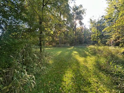 Land for sale in Hillsdale County, Michigan