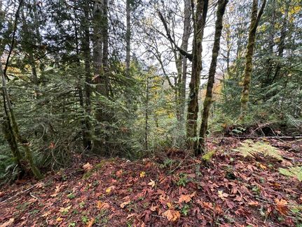 Timberland Property for sale in Kitsap County, Washington