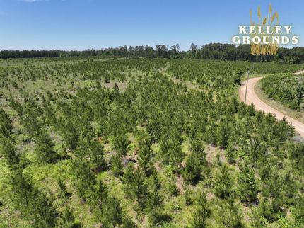Land for sale in Polk County, Texas