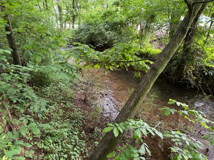 Undeveloped Land for sale in Polk County, Georgia