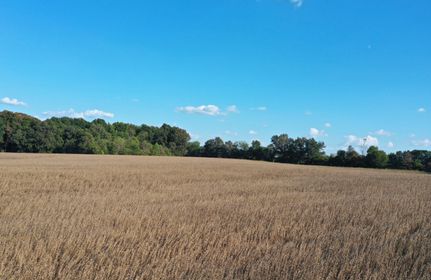 Recreational Property for sale in Graves County, Kentucky