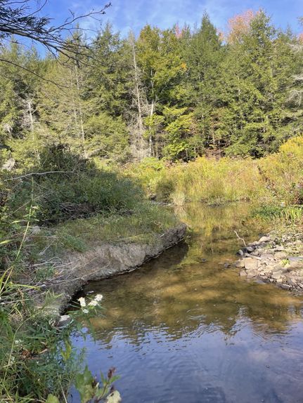 Recreational Property for sale in Chenango County, New York