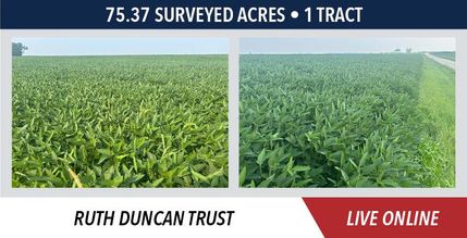 Land for sale in Henderson County, Illinois