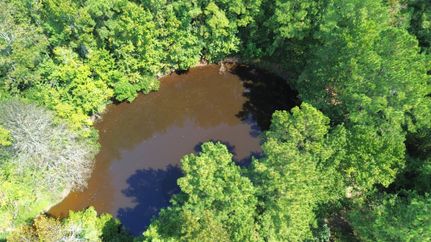 Land for sale in Houston County, Texas