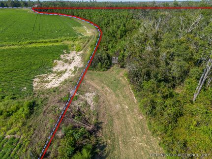 Farm and Ranch for sale in Jeff Davis County, Georgia