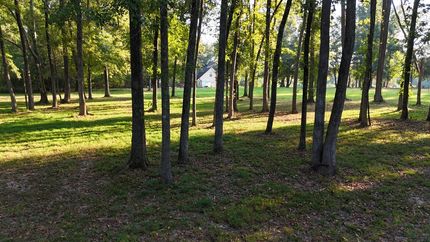 Hunting Property for sale in Hinds County, Mississippi