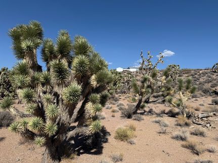 Undeveloped Land for sale in Mohave County, Arizona