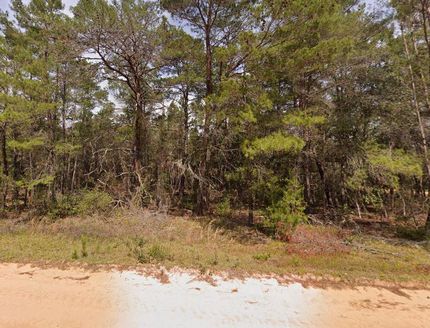 Undeveloped Land for sale in Putnam County, Florida