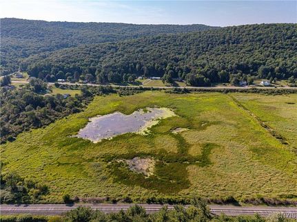Undeveloped Land in Steuben County, New York