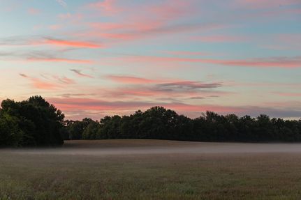 Land for sale in Williamson County, Tennessee