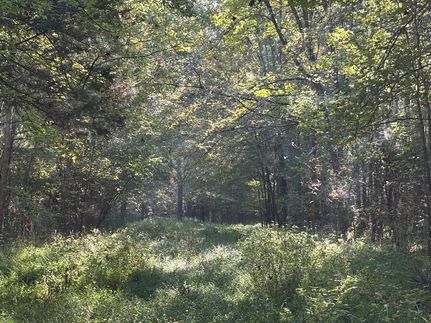 Undeveloped Land for sale in Webster County, Mississippi