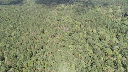 Timberland Property for sale in Winston County, Mississippi