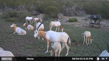 Recreational Property for sale in Edwards County, Texas
