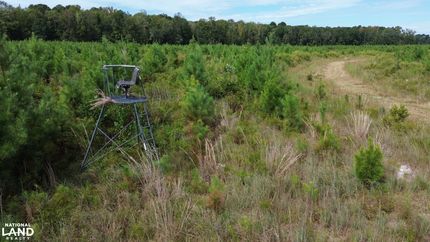 Timberland Property for sale in Dorchester County, South Carolina