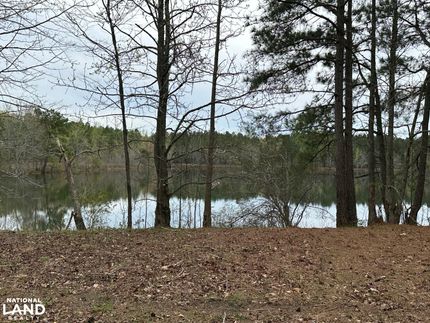 Timberland Property for sale in Wicomico County, Maryland