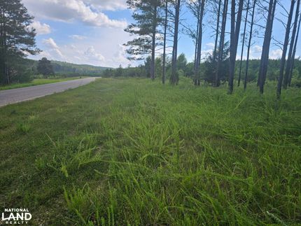 Undeveloped Land in Fayette County, Alabama