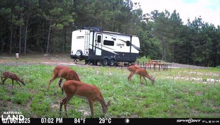 Farm and Ranch in Union Parish, Louisiana