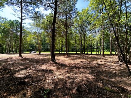 Land for sale in Meigs County, Tennessee