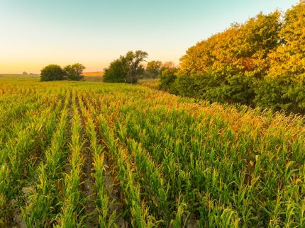 Hunting Property for sale in Graham County, Kansas