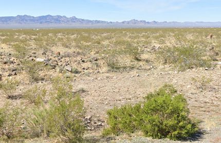Farm and Ranch for sale in Mohave County, Arizona