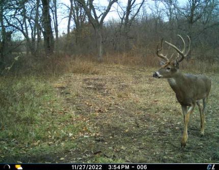 Recreational Property in Harrison County, Missouri