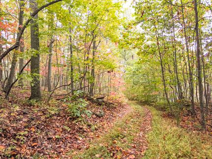 Undeveloped Land for sale in Monroe County, West Virginia