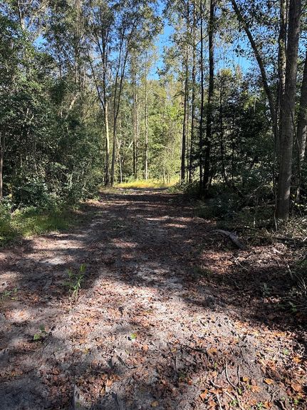 Land for sale in Duplin County, North Carolina