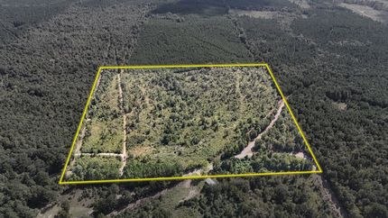 Land for sale in Bienville Parish, Louisiana