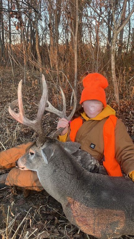 Timberland Property for sale in Graves County, Kentucky