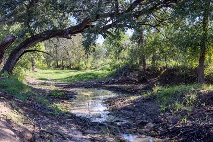 Farm and Ranch for sale in Medina County, Texas