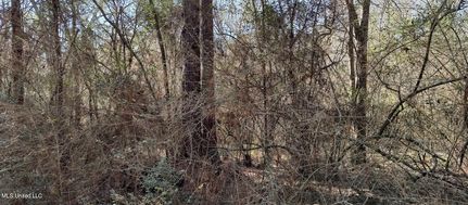 Undeveloped Land for sale in Pearl River County, Mississippi