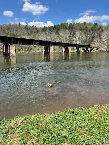 Horse Property for sale in Carroll County, Virginia